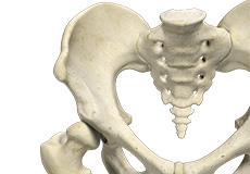 Developmental Dysplasia