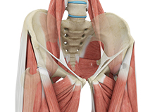 Pelvic Fractures